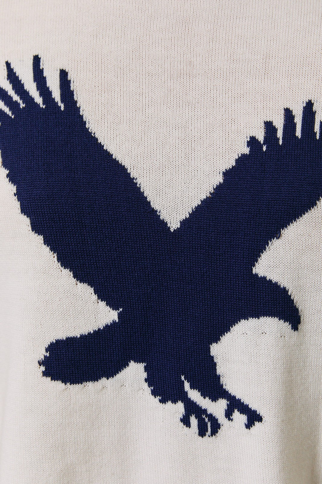 Eagle Sweater